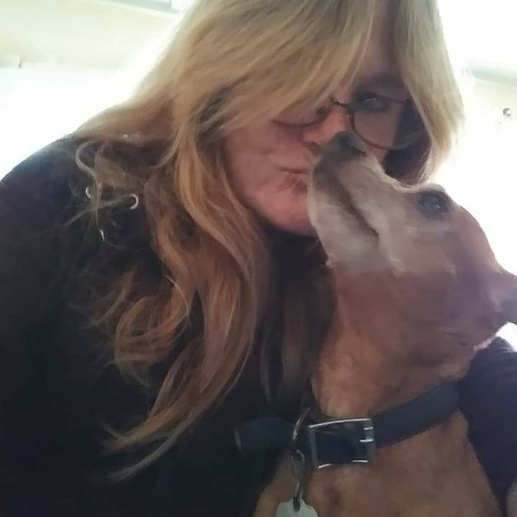 loriharperx744